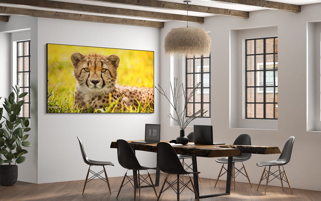 Akoestisch schilderij met Cheetah (2014) door Ronda Gregorio - moderne dierenschildering