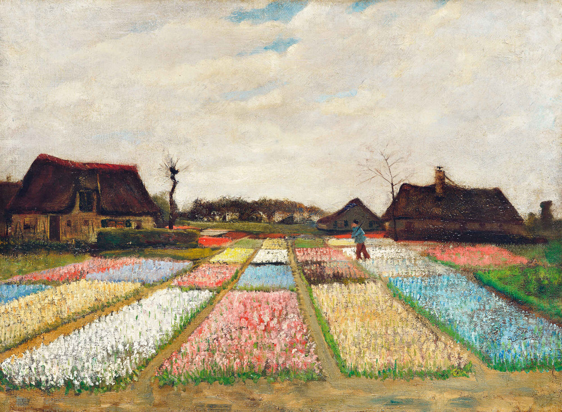 Bloemenvelden in Nederland - Vincent van Gogh - AkoestischeMuur