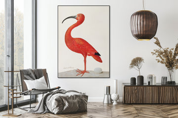 Flamingo met ei - Sibylla Merian - AkoestischeMuur