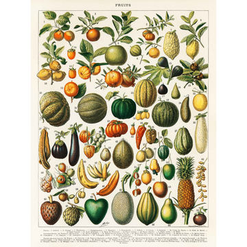 Vintage tekenig van fruit en groenten - AkoestischeMuur