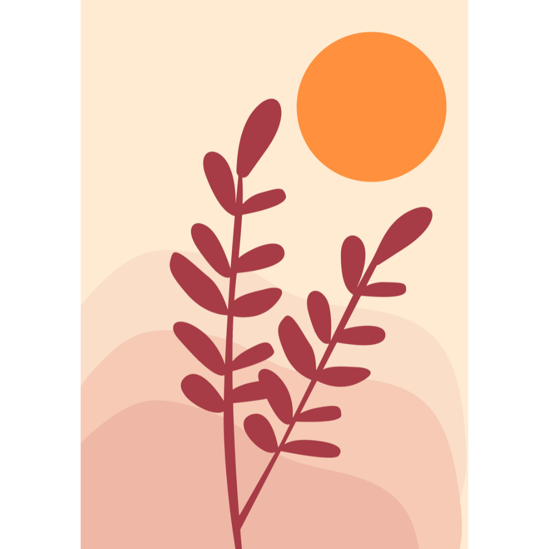 Roze planen in de bohemian zon - AkoestischeMuur