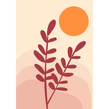 Roze planen in de bohemian zon - AkoestischeMuur