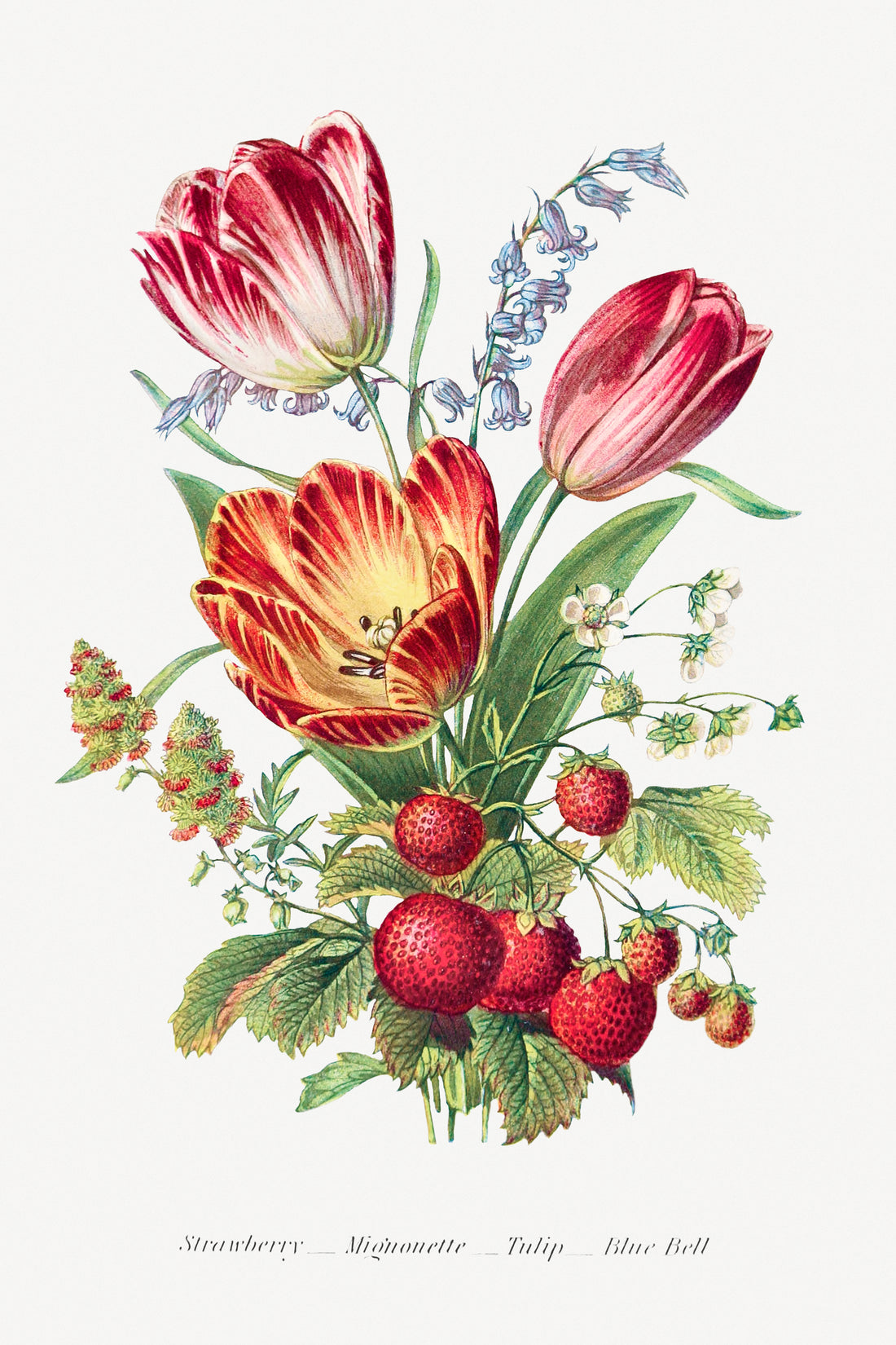 Akoestisch schilderij met Aardbei, Reseda, Tulp en Blauwe Klokjes - Bloementaal