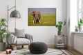 Akoestisch schilderij met Afrikaanse olifant in het wild - Woonkamer 2