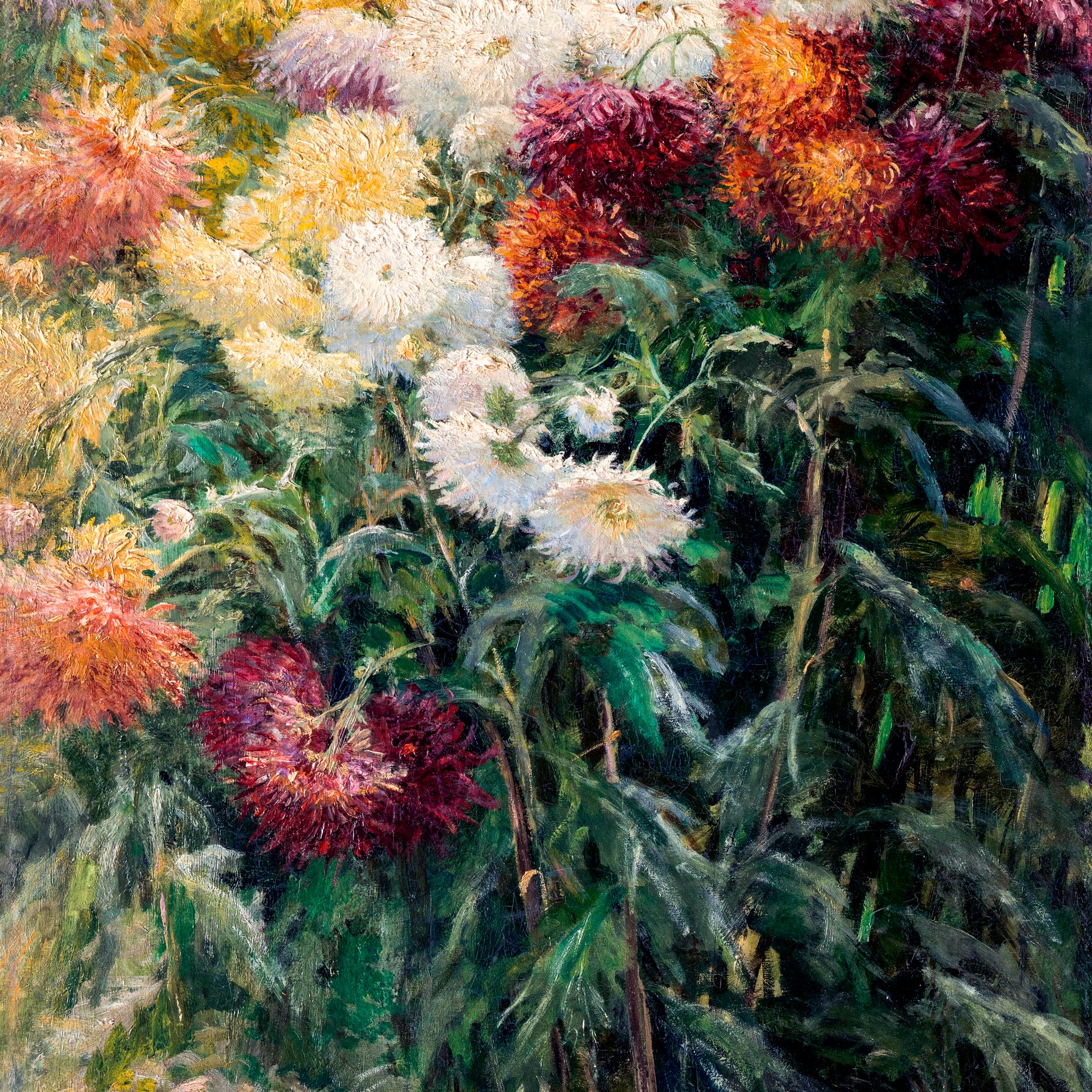 Akoestisch schilderij met Chrysanten in de tuin van Petit-Gennevilliers - impressionistisch schilderij