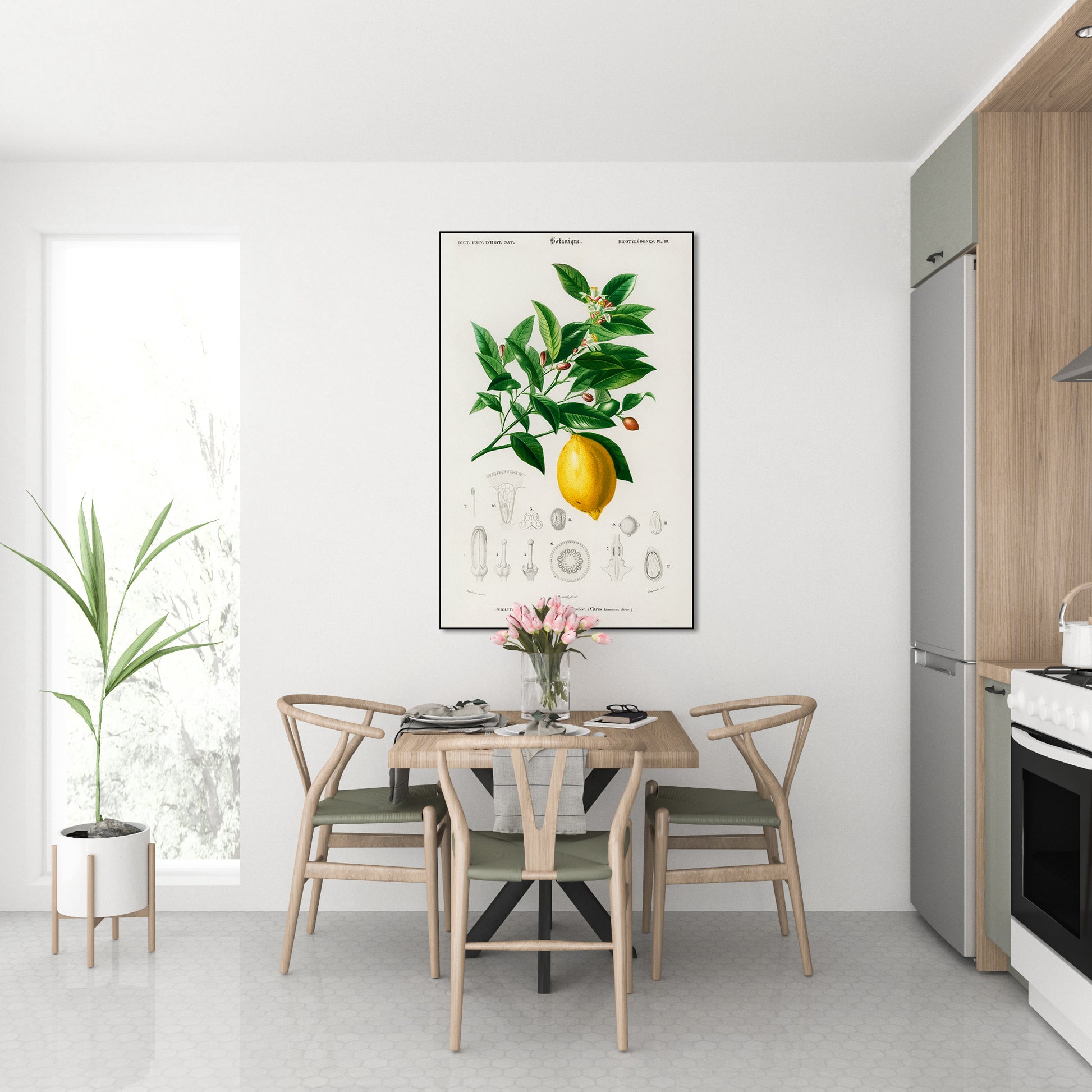 Akoestisch schilderij met Citroen illustratie D’Orbigny - Keuken