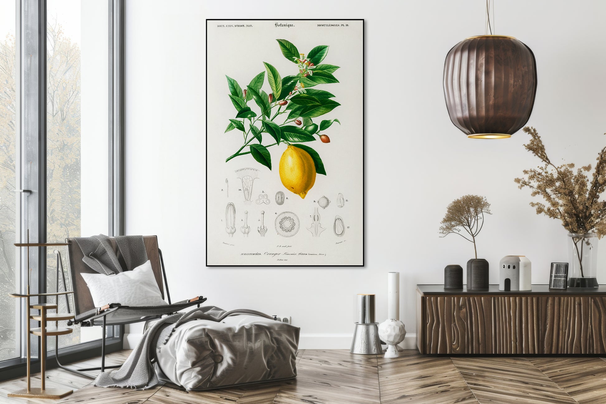 Akoestisch schilderij met Citroen illustratie D’Orbigny - Woonkamer