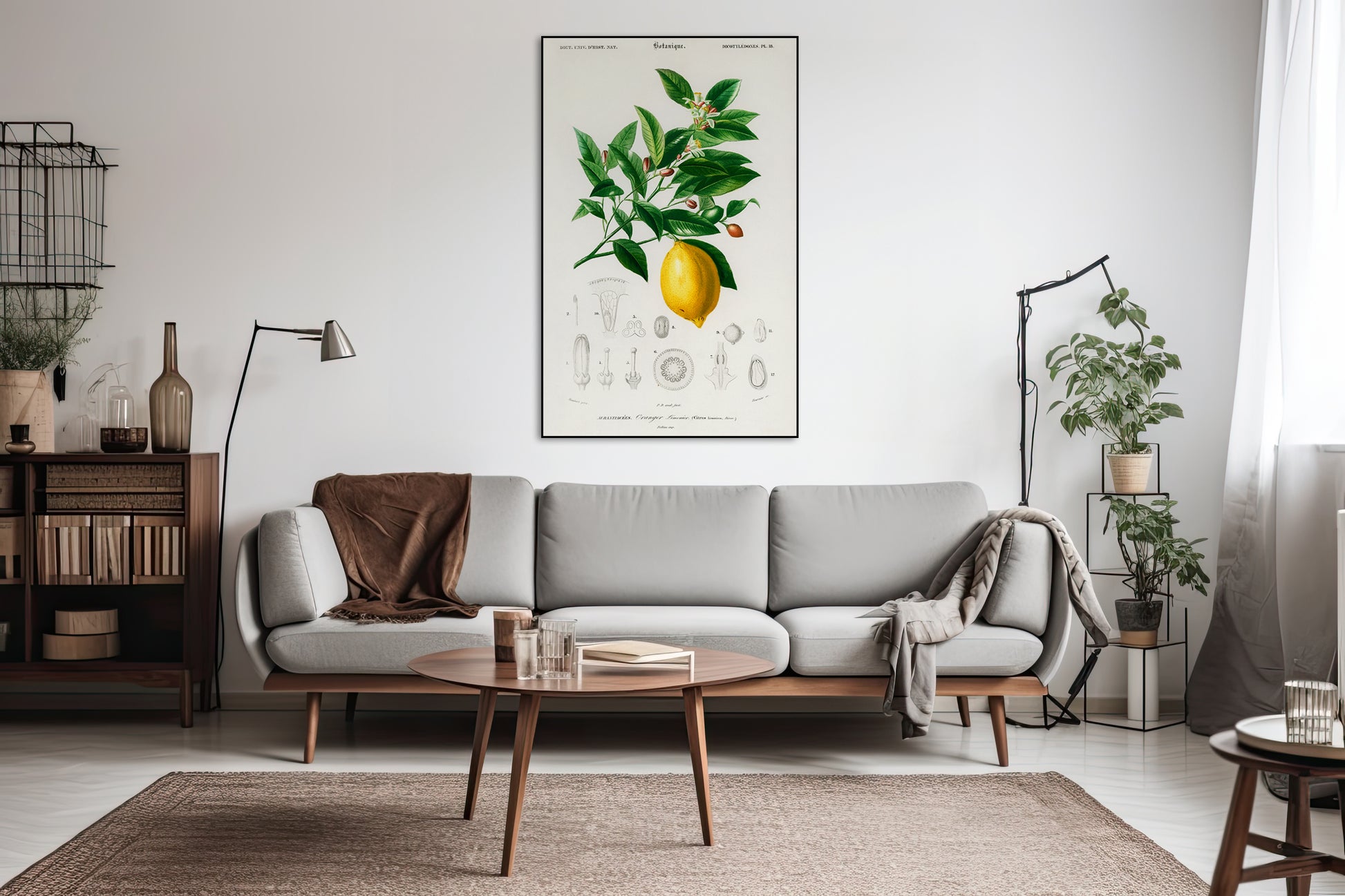 Akoestisch schilderij met Citroen illustratie D’Orbigny - Woonkamer 2