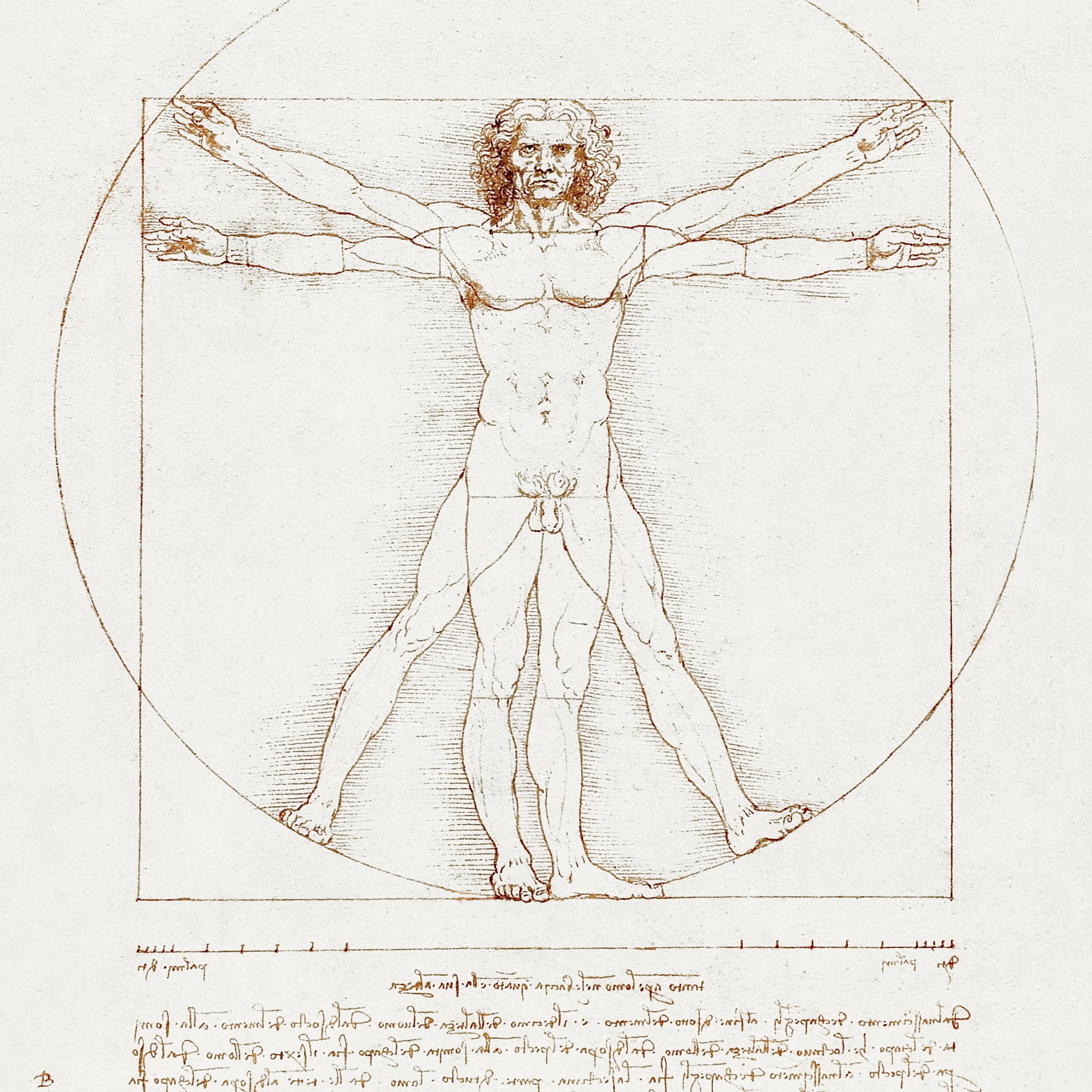 Akoestisch schilderij met De Vitruviaanse Man - Leonardo da Vinci