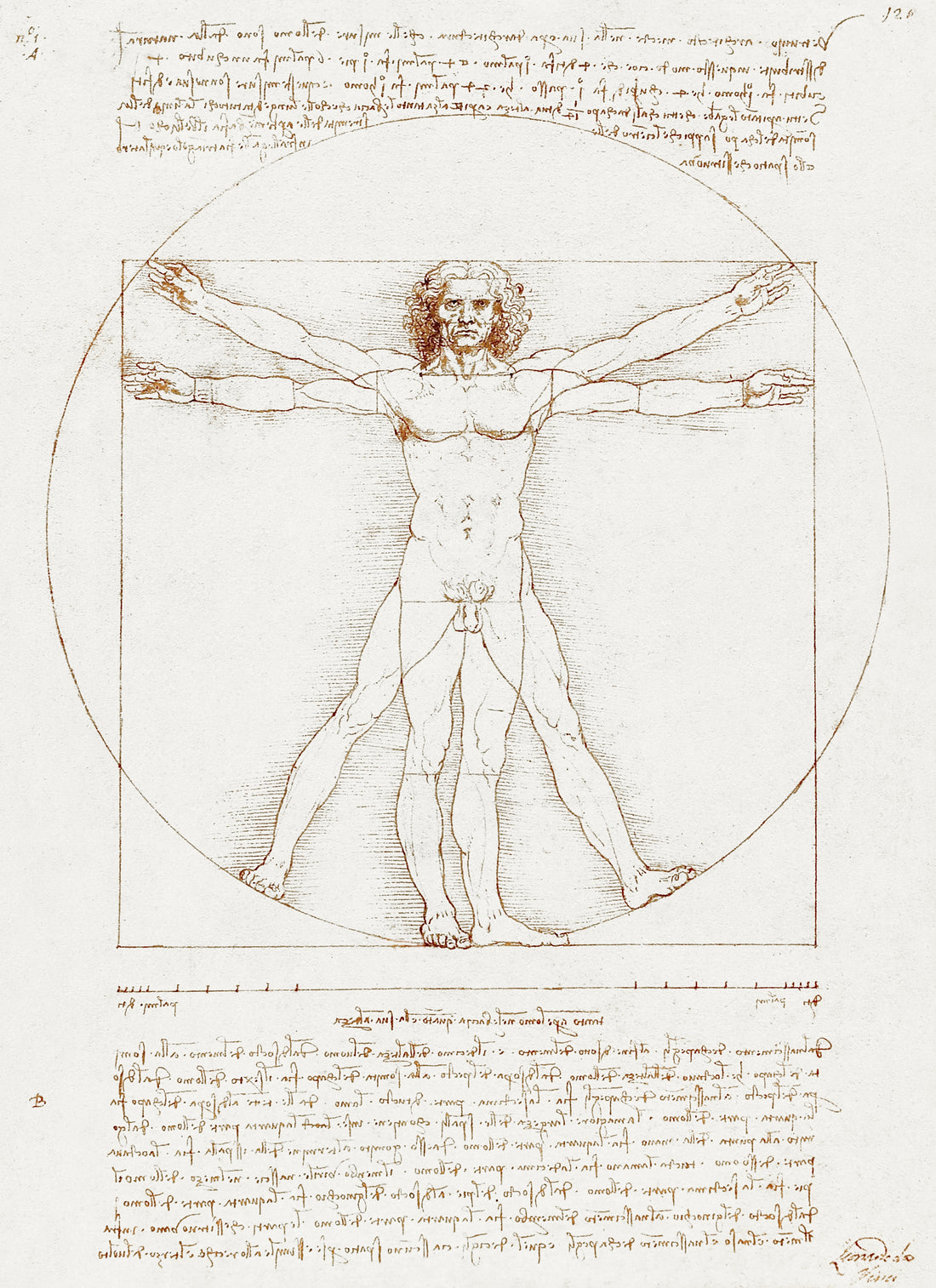 Akoestisch schilderij met De Vitruviaanse Man - Leonardo da Vinci