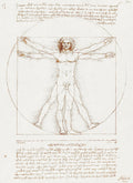 Akoestisch schilderij met De Vitruviaanse Man - Leonardo da Vinci