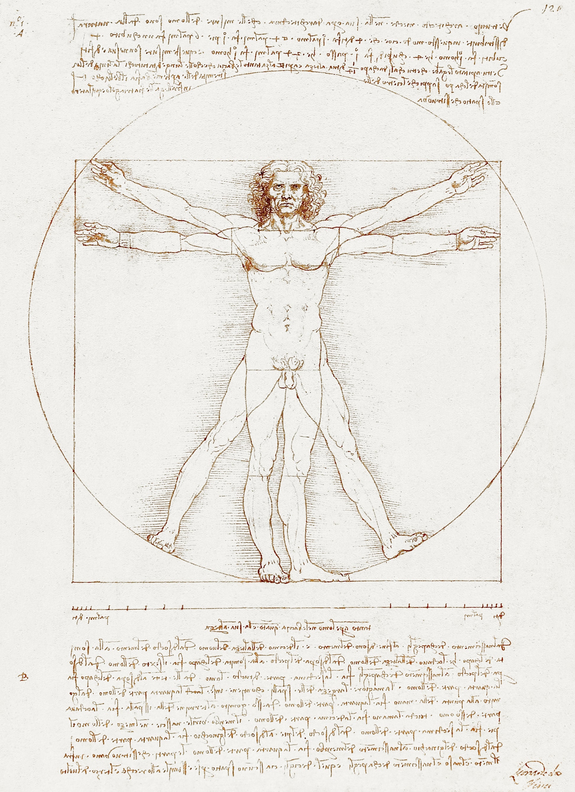 Akoestisch schilderij met De Vitruviaanse Man - Leonardo da Vinci