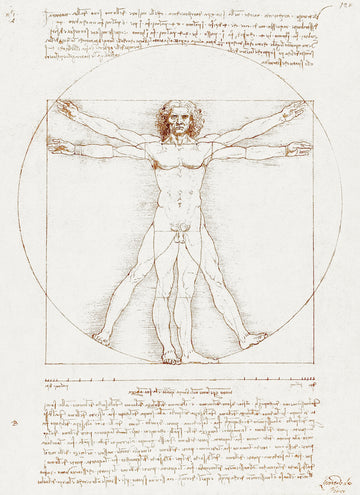 Akoestisch schilderij met De Vitruviaanse Man - Leonardo da Vinci