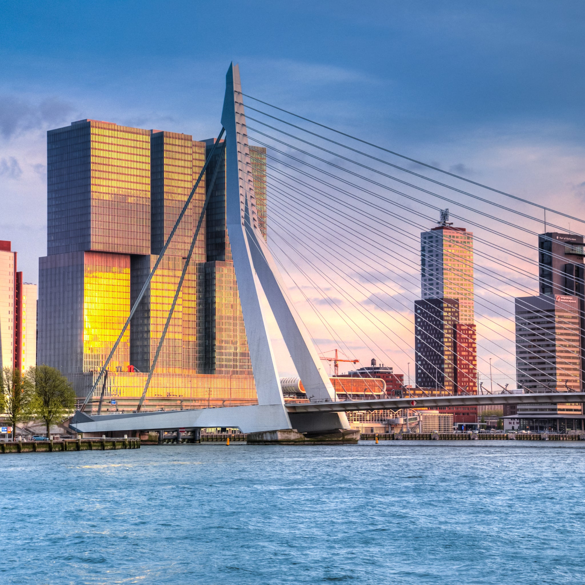 Akoestisch schilderij met Erasmusbrug Rotterdam