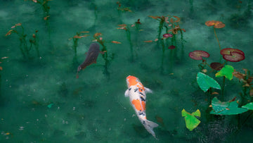 Akoestisch schilderij met Koi karpers in vijver – Japan