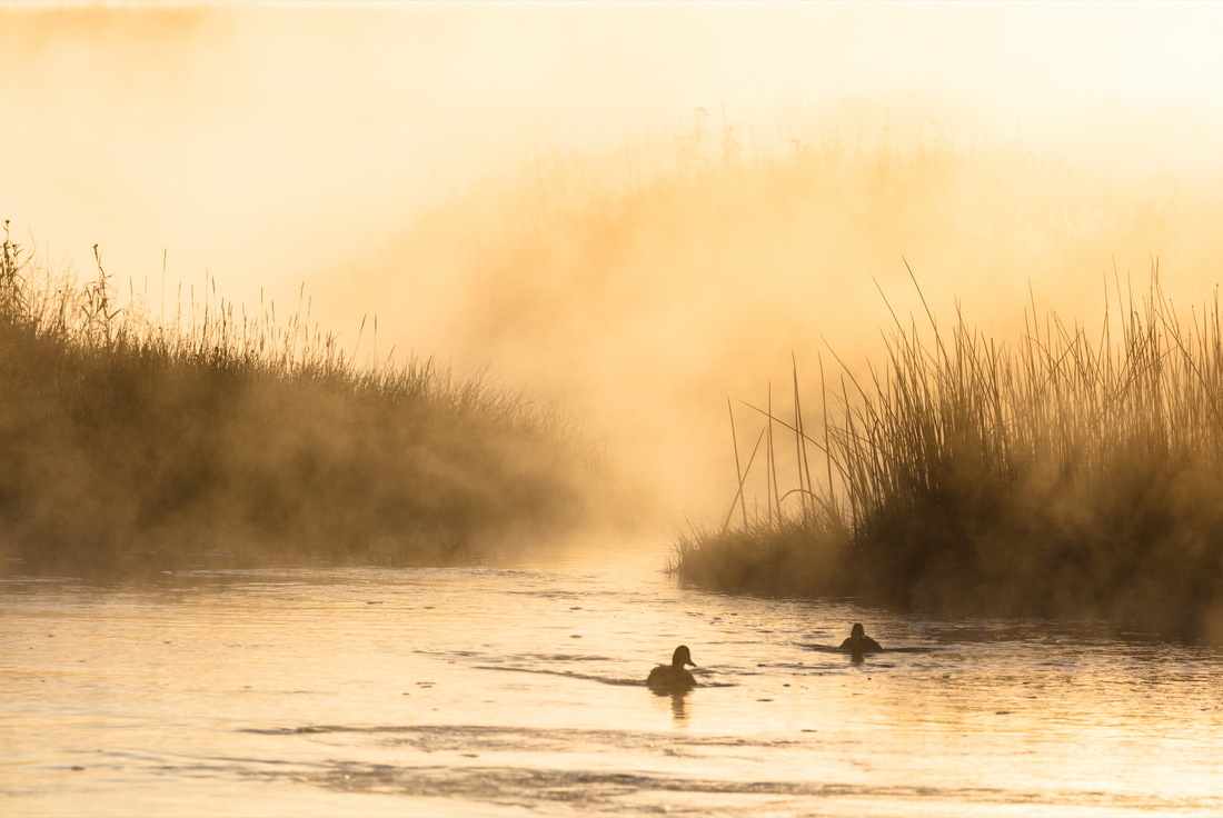 Akoestisch schilderij met Ochtendmist op de Madison rivier