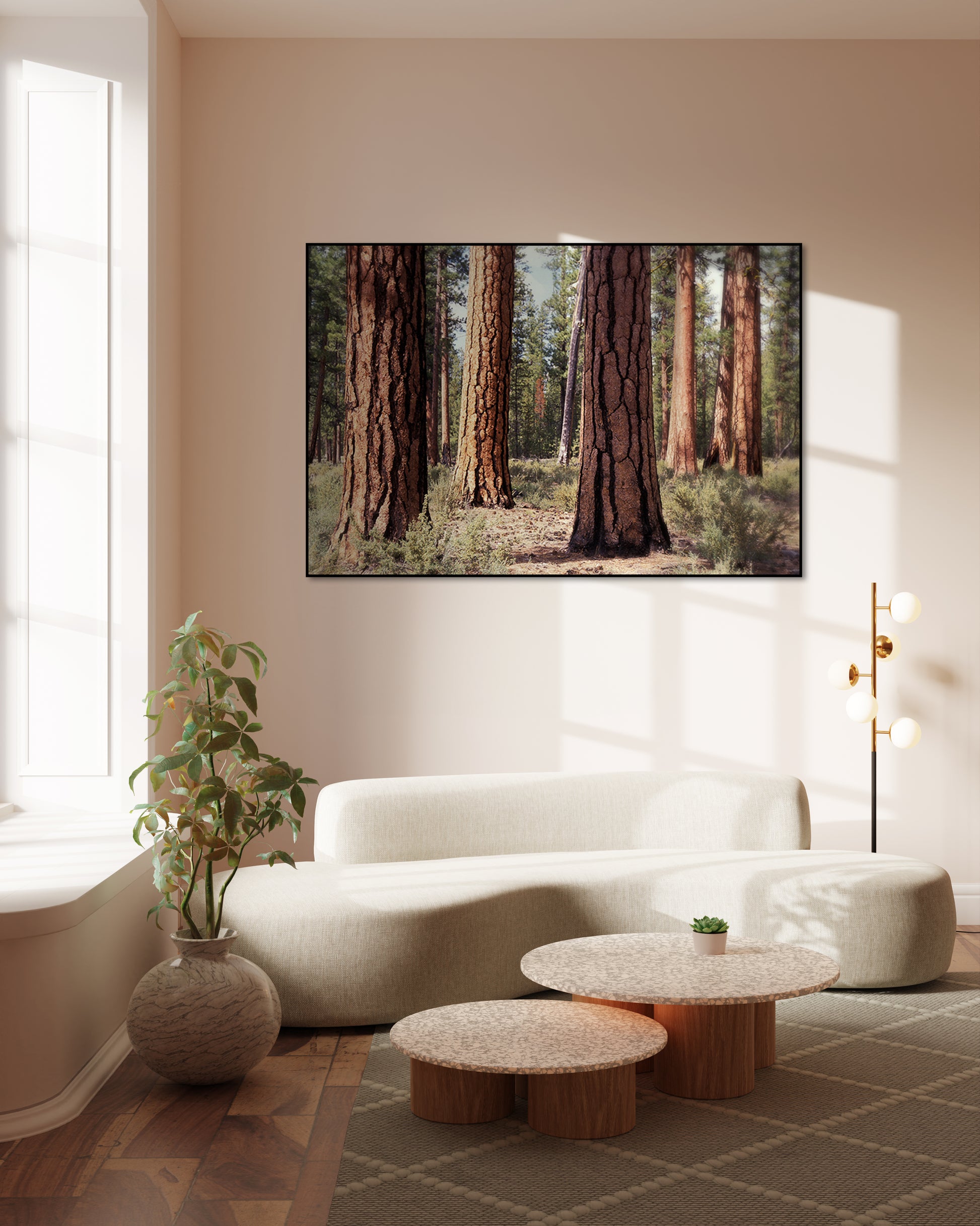 Akoestisch schilderij met Oeroude dennen in Deschutes - Woonkamer 2