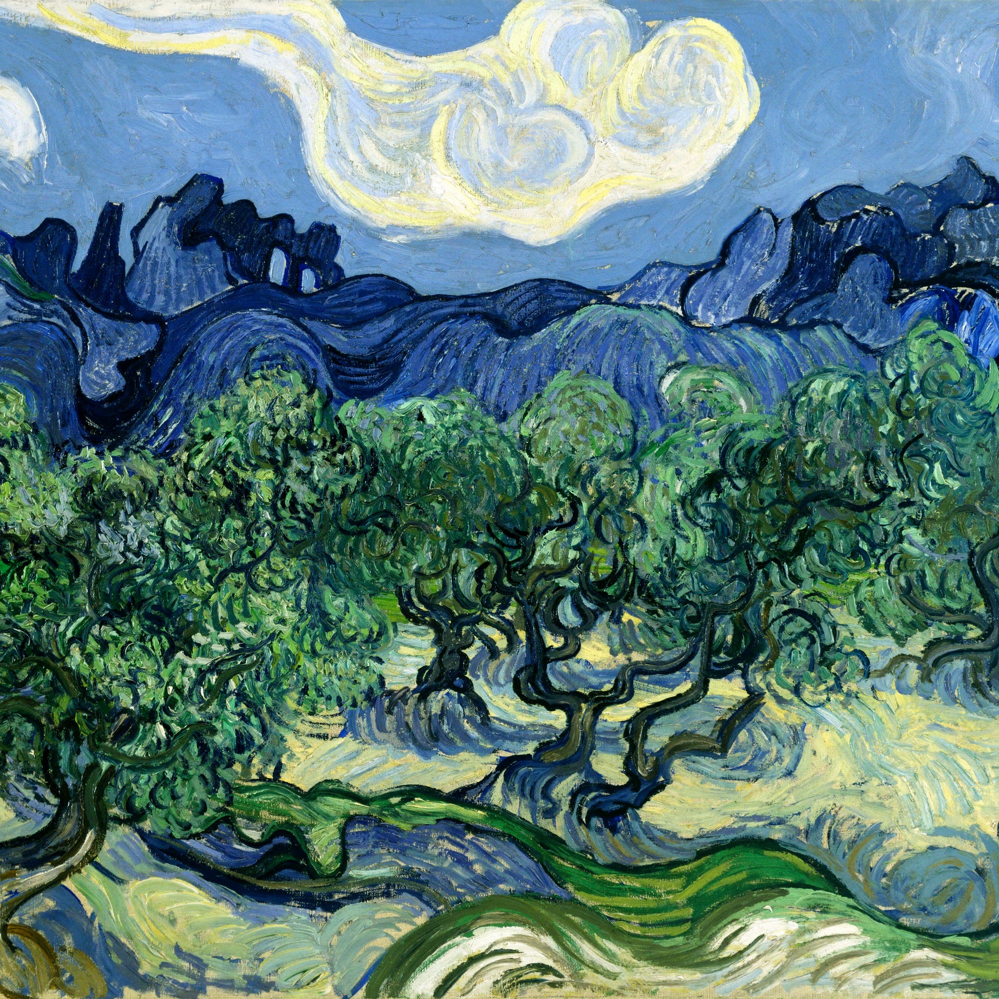 Akoestisch schilderij met Olijfbomen & Alpilles landschap