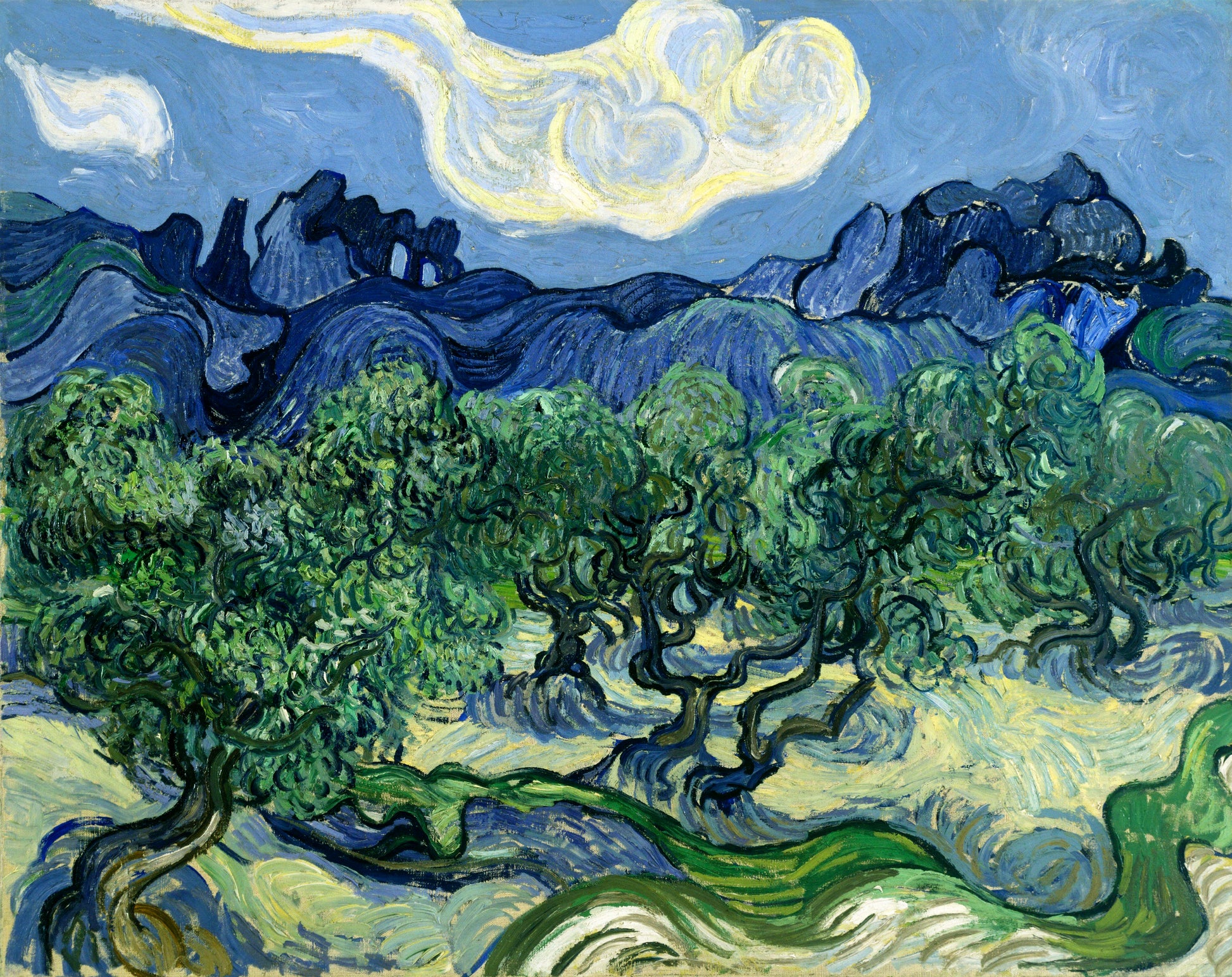 Akoestisch schilderij met Olijfbomen & Alpilles landschap