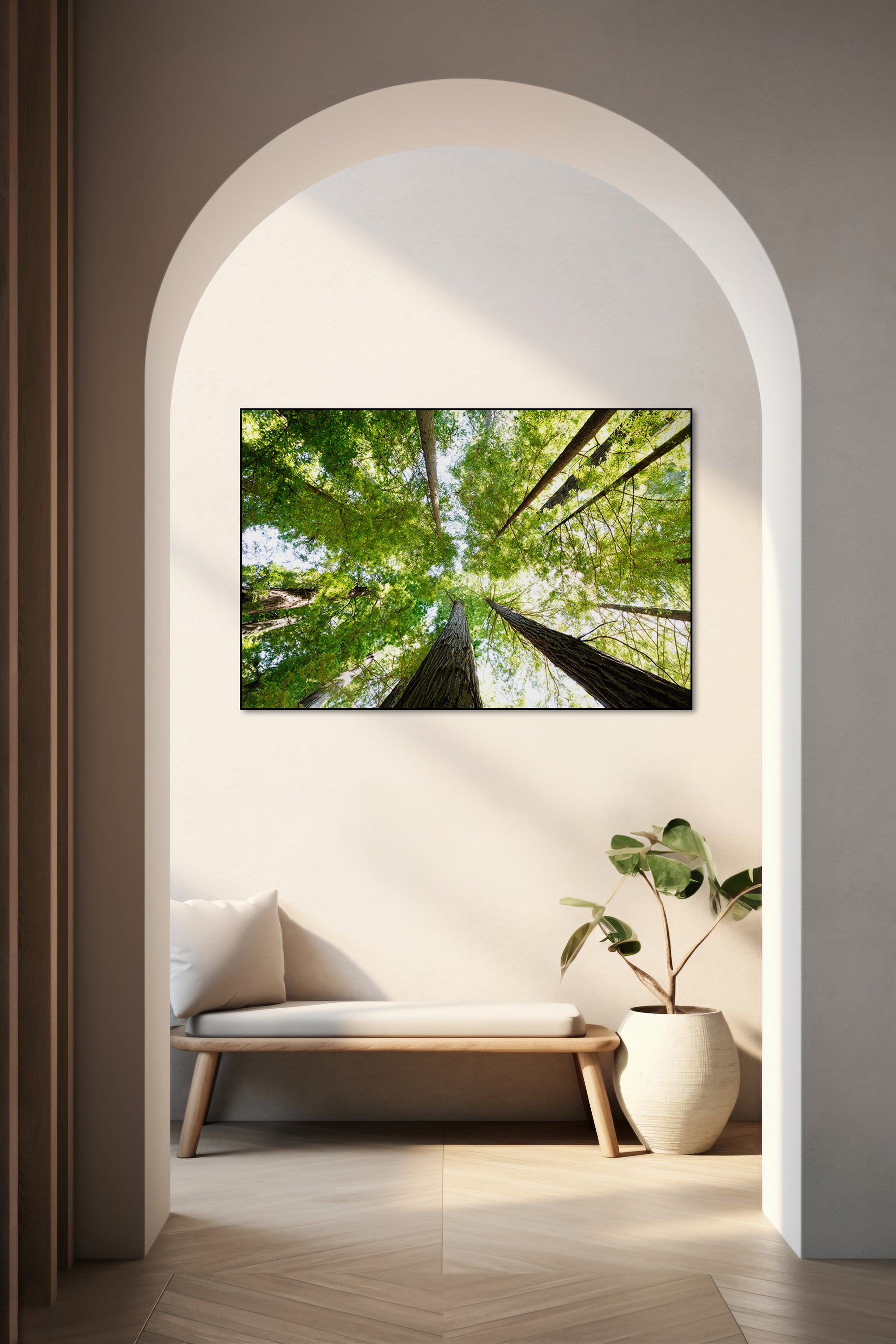 Akoestisch schilderij met Redwood National and State Park - Hal