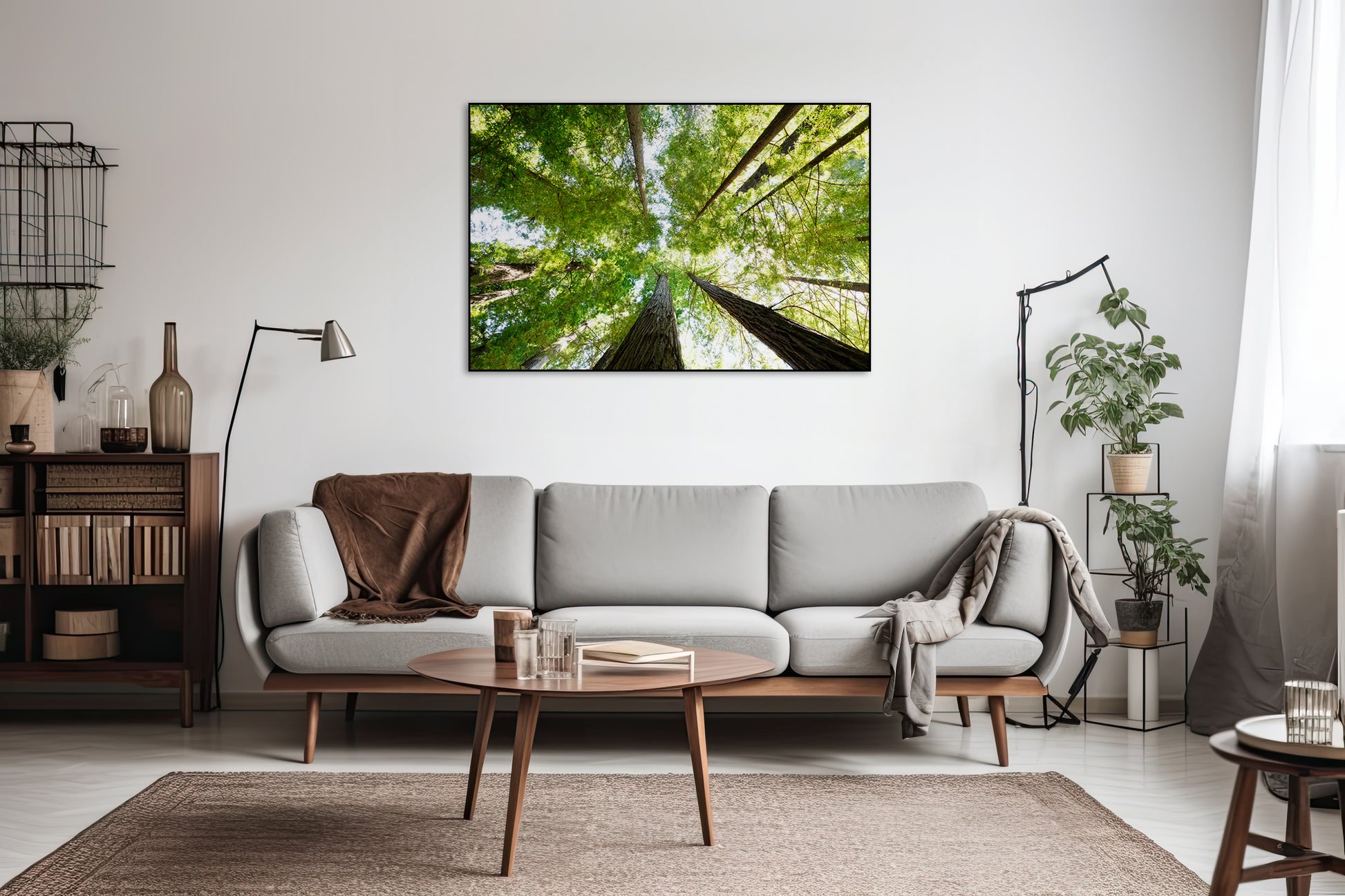 Akoestisch schilderij met Redwood National and State Park - Woonkamer 2