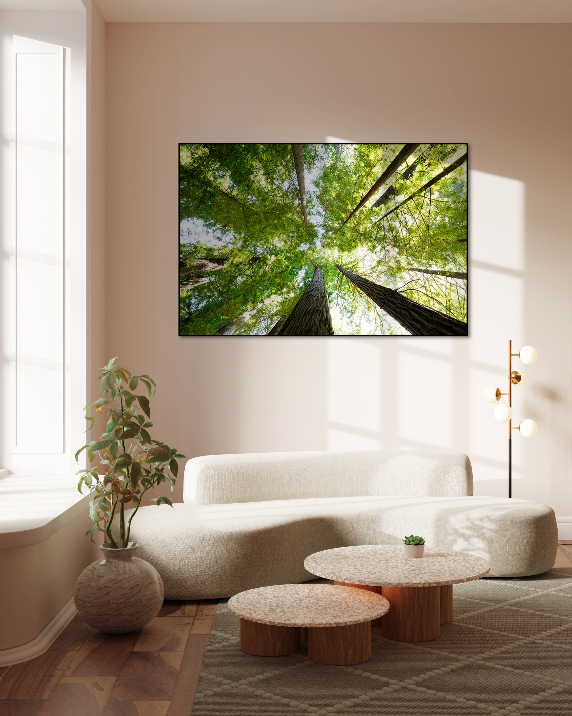 Akoestisch schilderij met Redwood National and State Park - Woonkamer 3