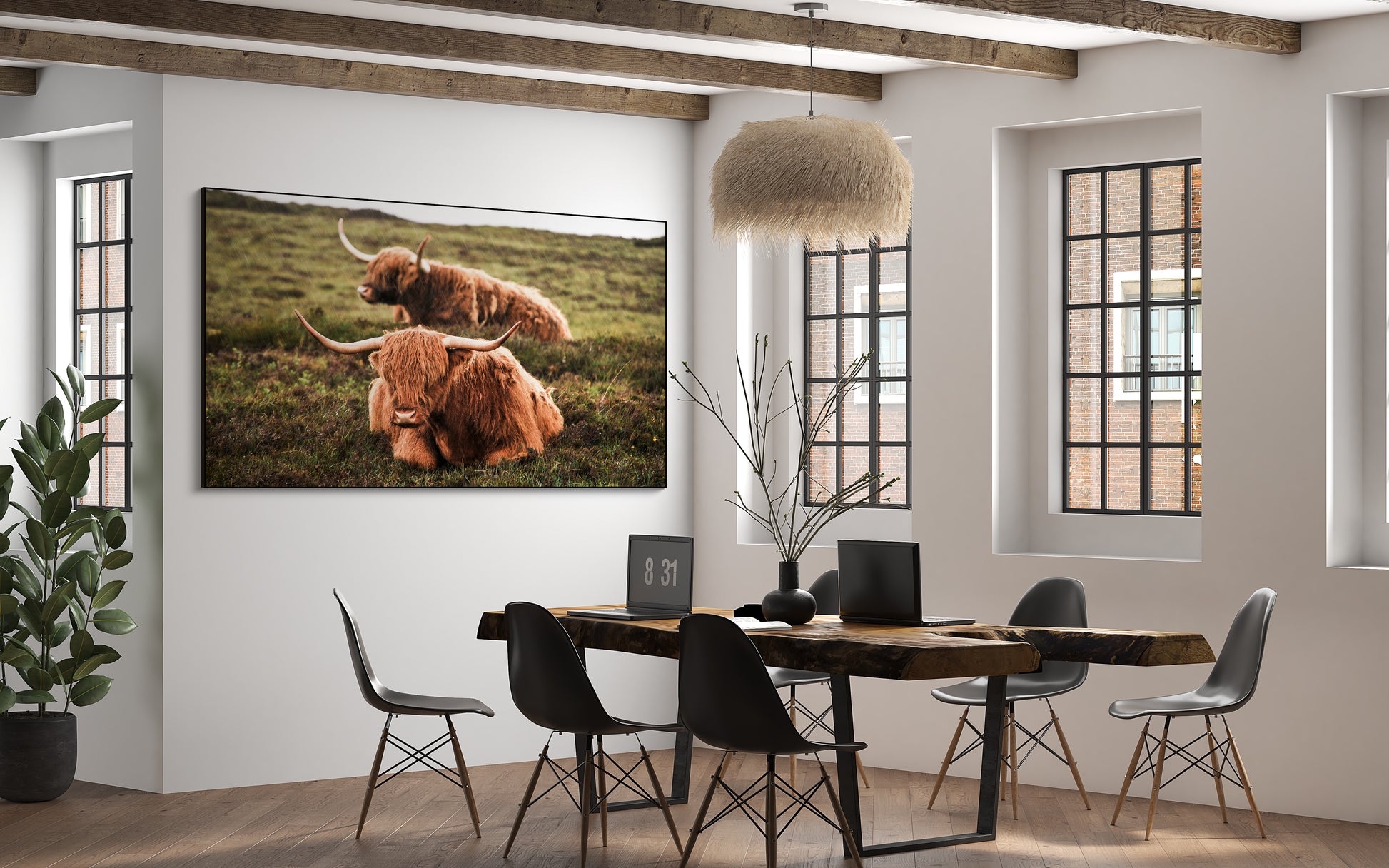 Akoestisch schilderij met Twee Hooglandrunderen - Kantoor