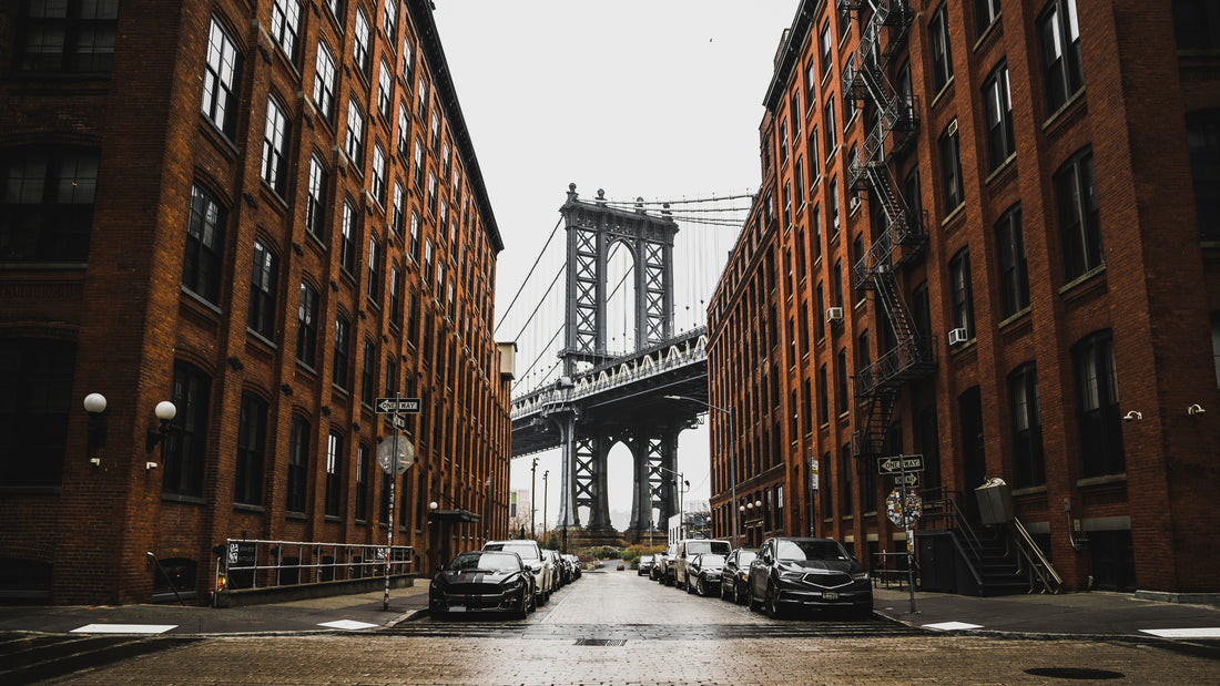 Akoestisch schilderij met Uitzicht op Manhattan via Dumbo