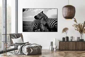 Akoestisch schilderij met Zwart-witte Zebra - Kantoor