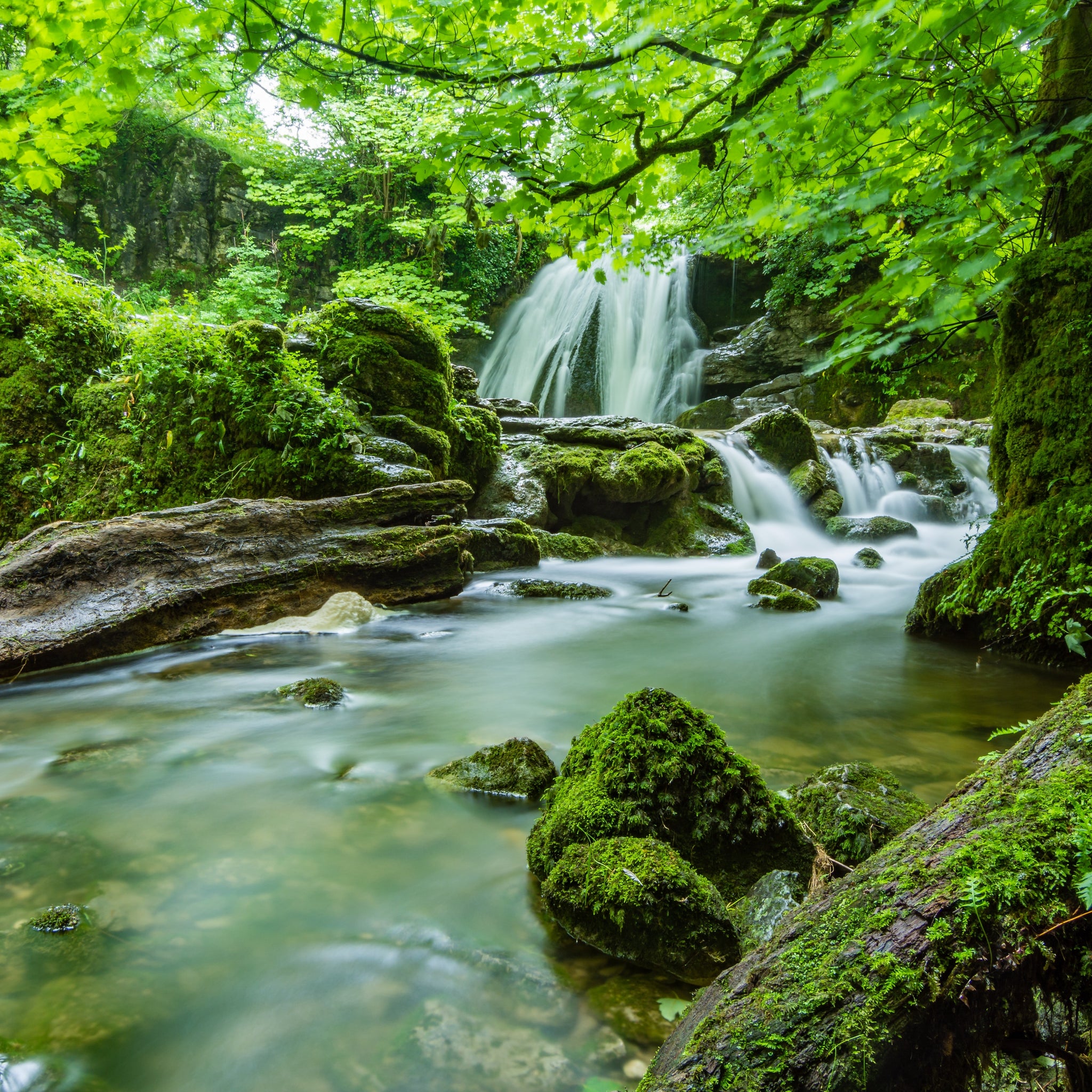 Akoestisch schilderij met waterval in het bos