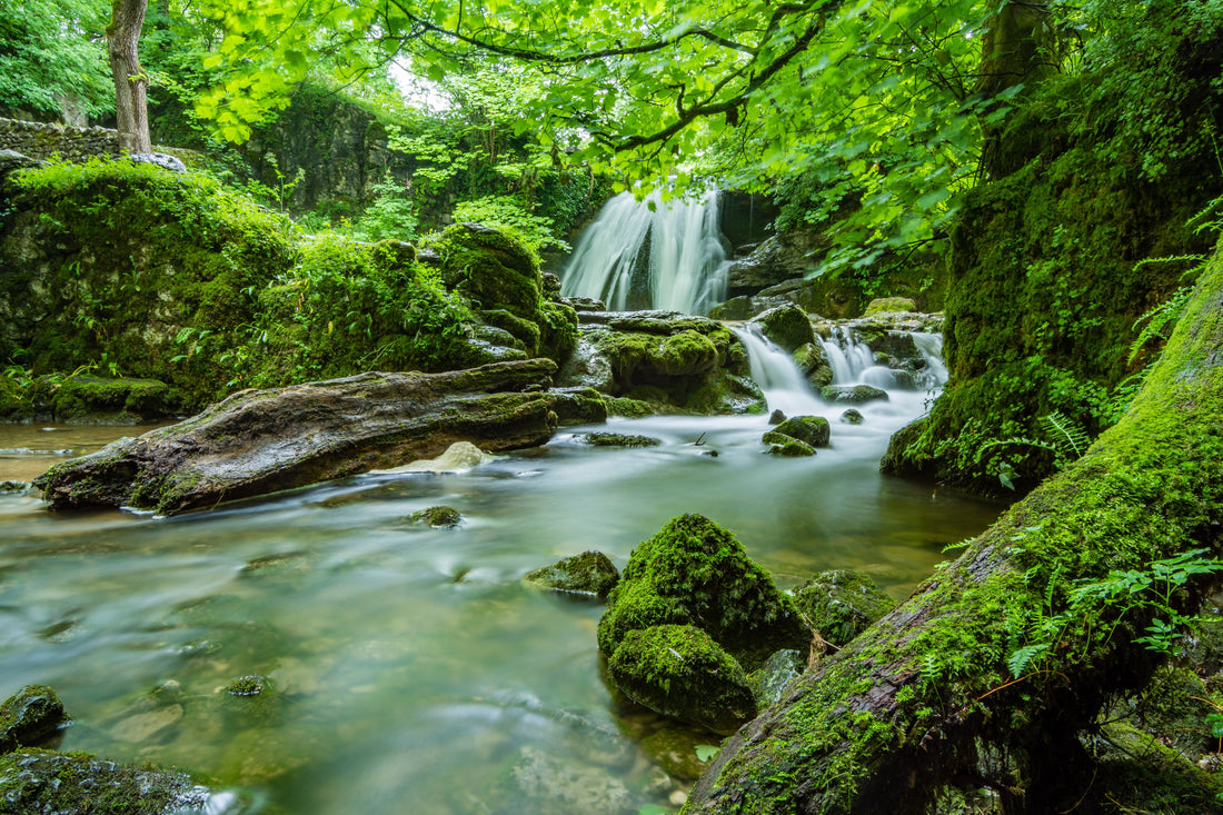 Akoestisch schilderij met waterval in het bos