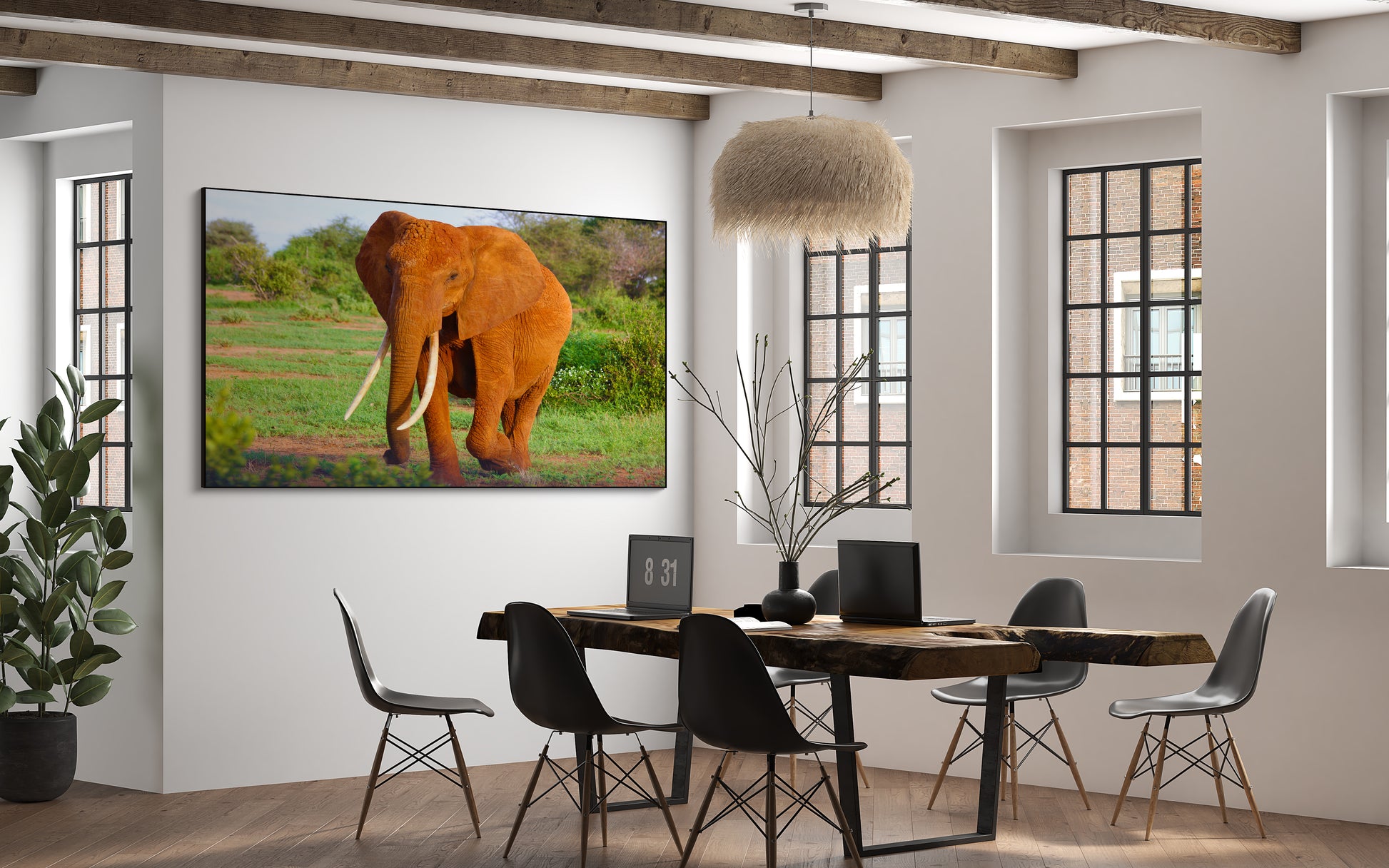 Olifant in het wild met zonlicht - AkoestischeMuur