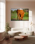 Olifant in het wild met zonlicht - AkoestischeMuur