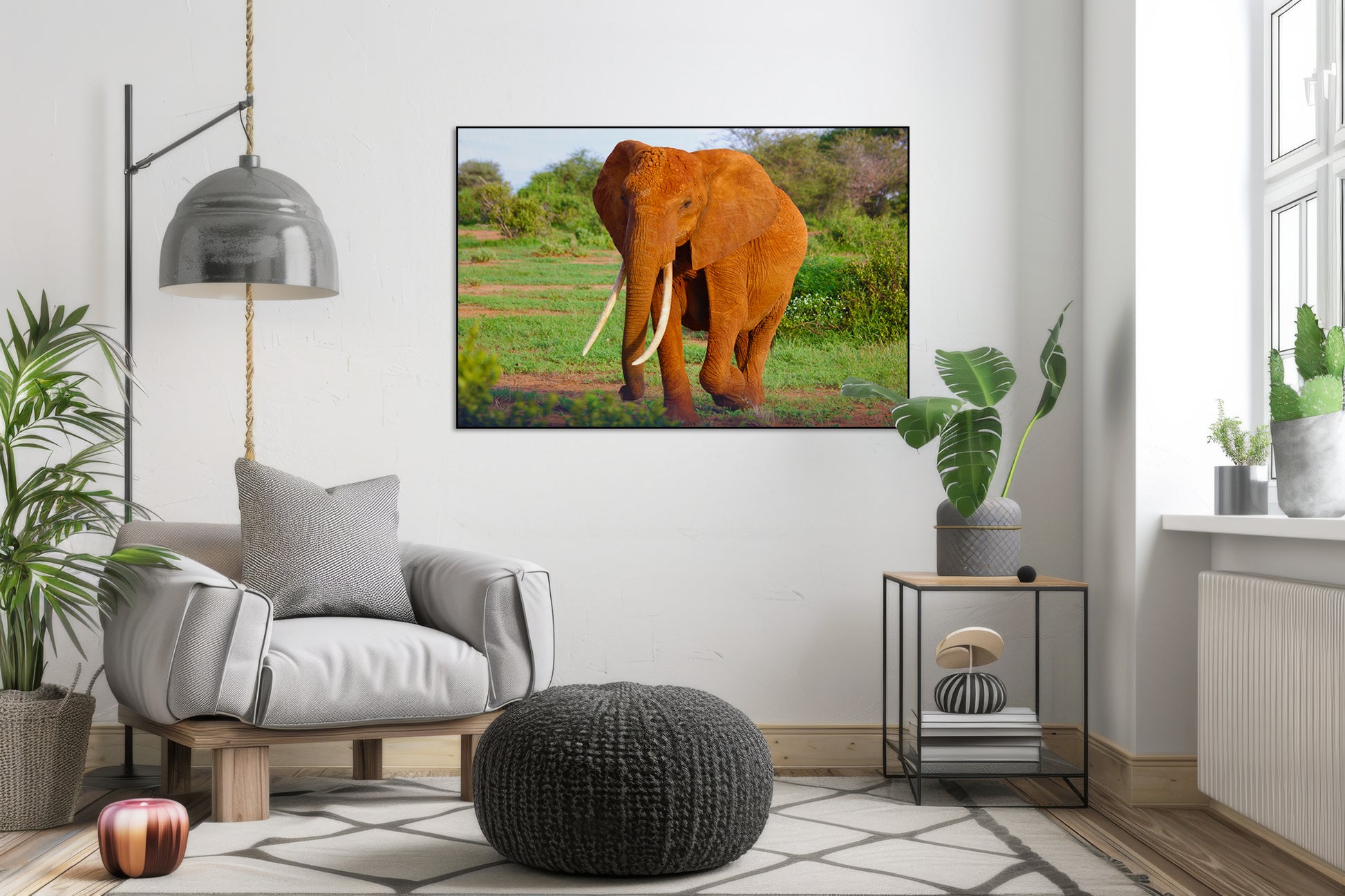 Olifant in het wild met zonlicht - AkoestischeMuur