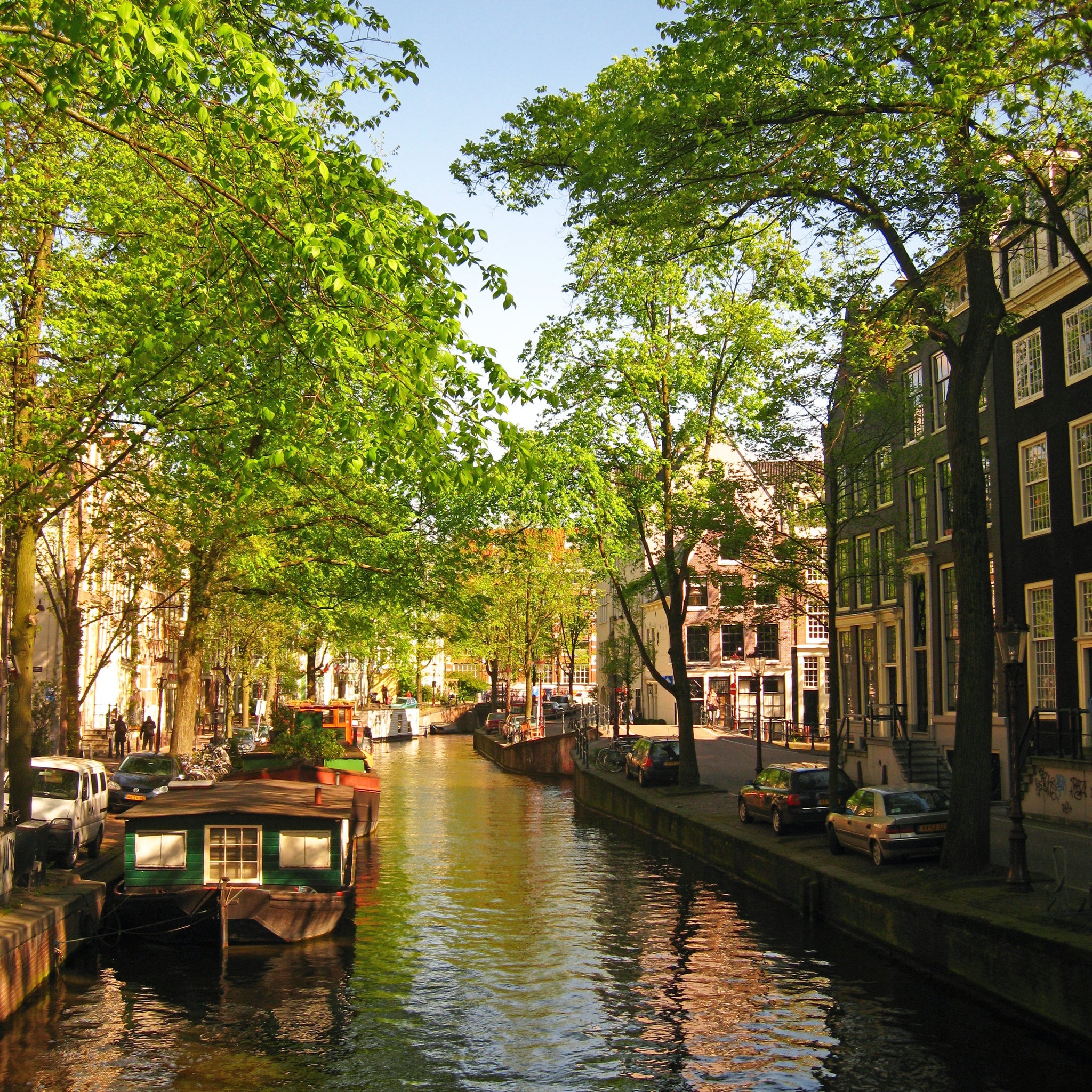 Amsterdam in bloei - AkoestischeMuur