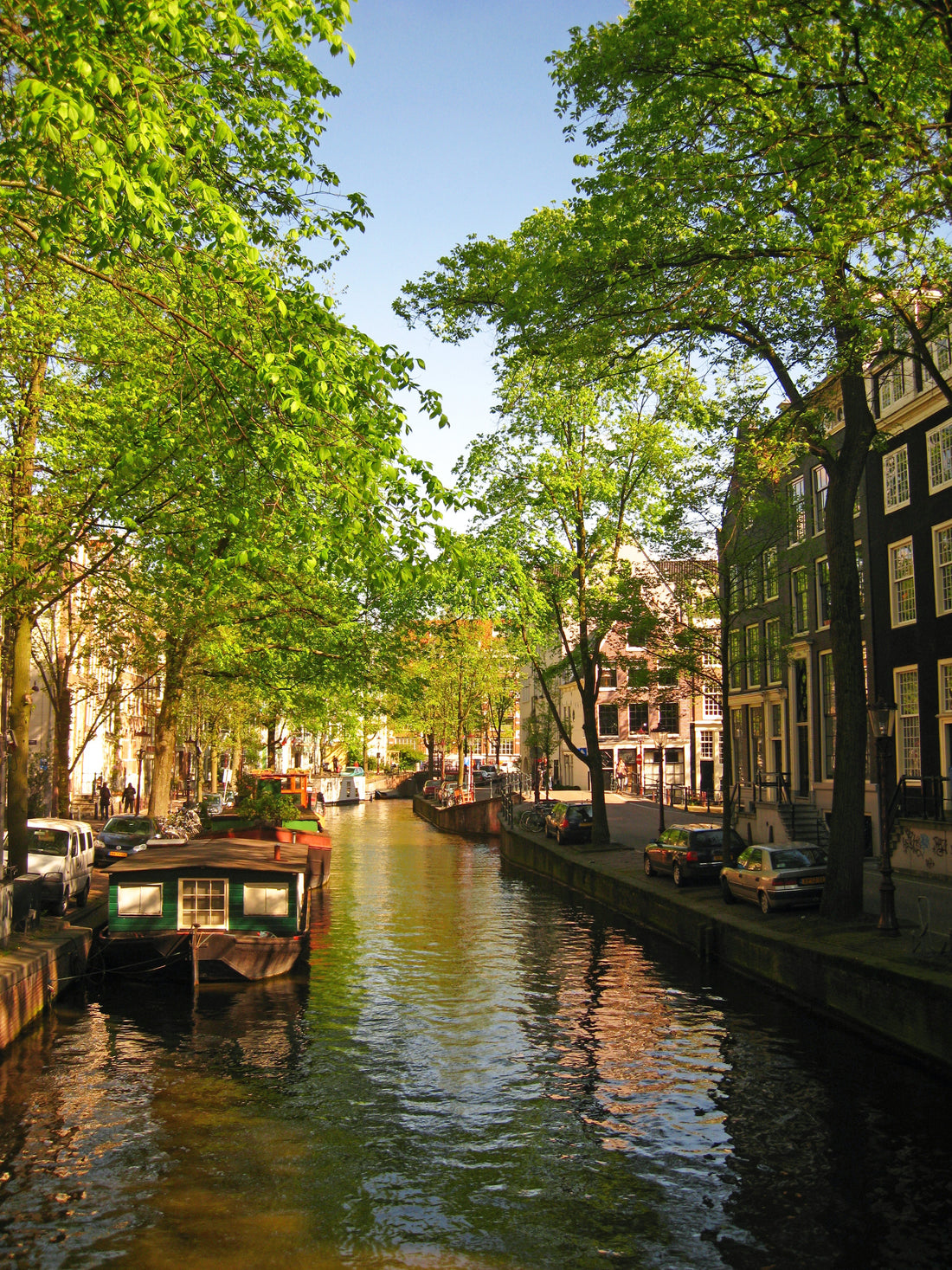 Amsterdam in bloei - AkoestischeMuur