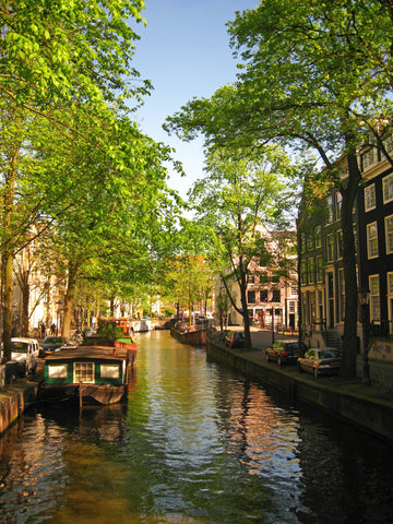 Amsterdam in bloei - AkoestischeMuur