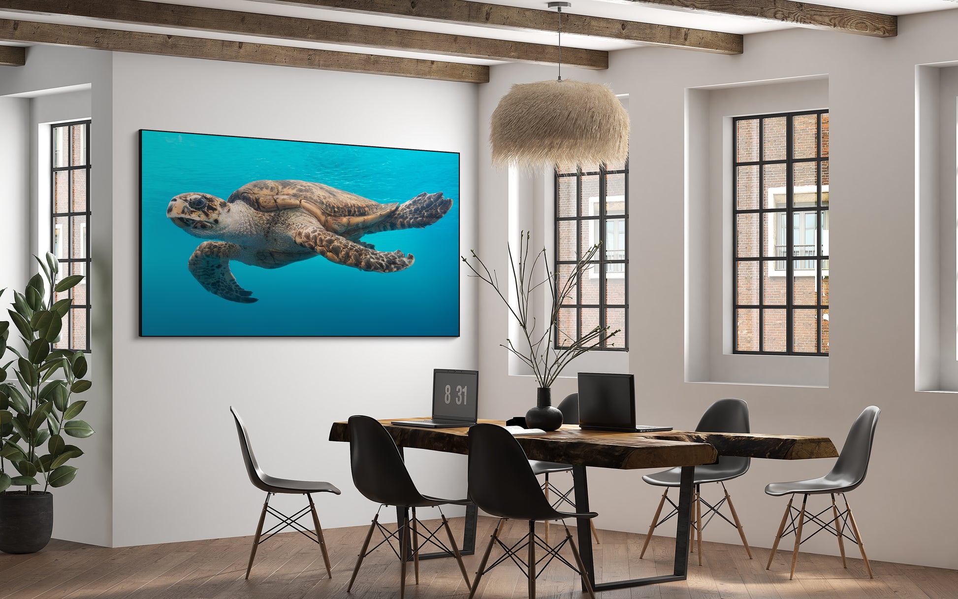 Schildpad in het water - AkoestischeMuur