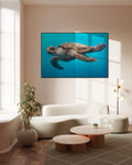 Schildpad in het water - AkoestischeMuur
