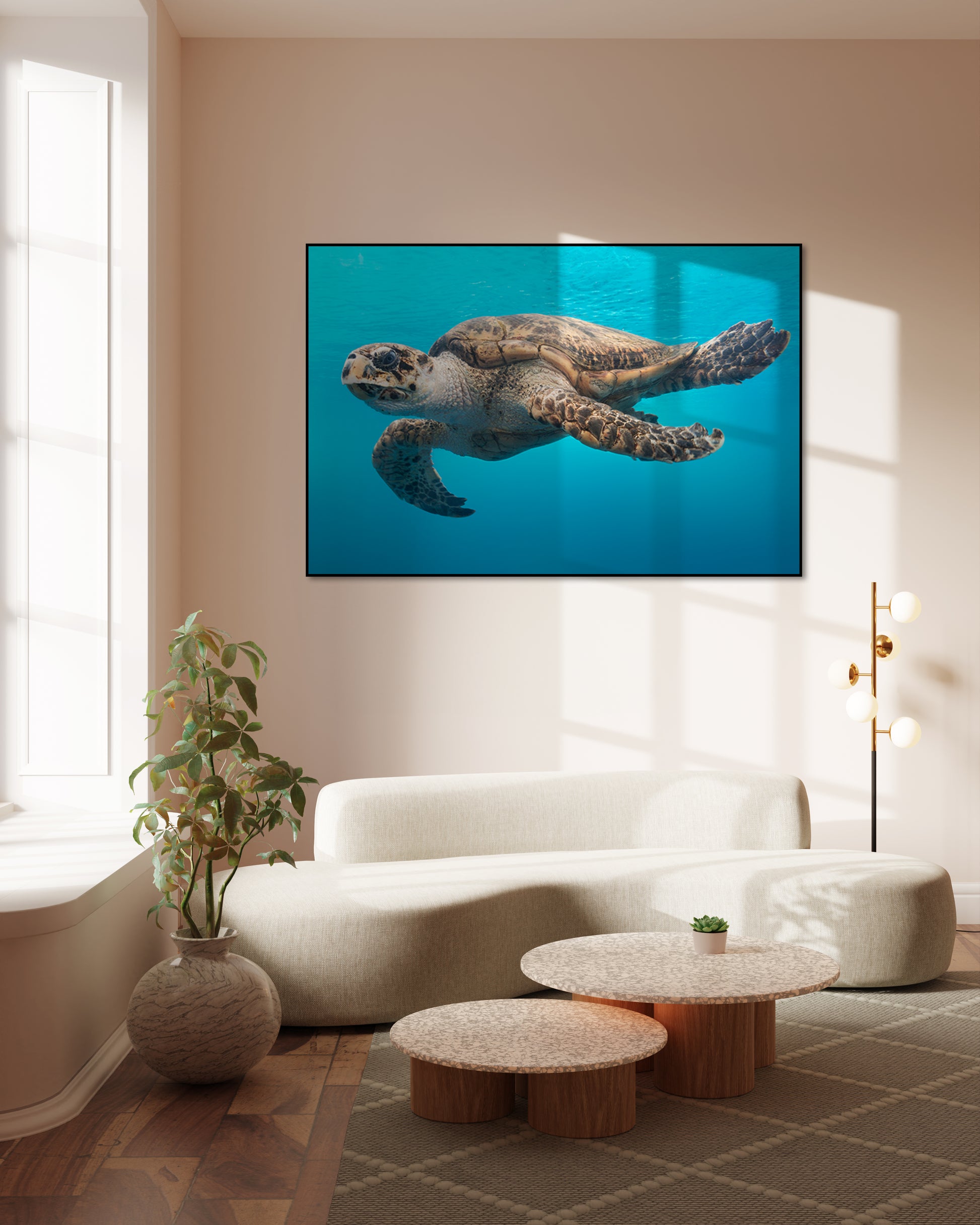 Schildpad in het water - AkoestischeMuur