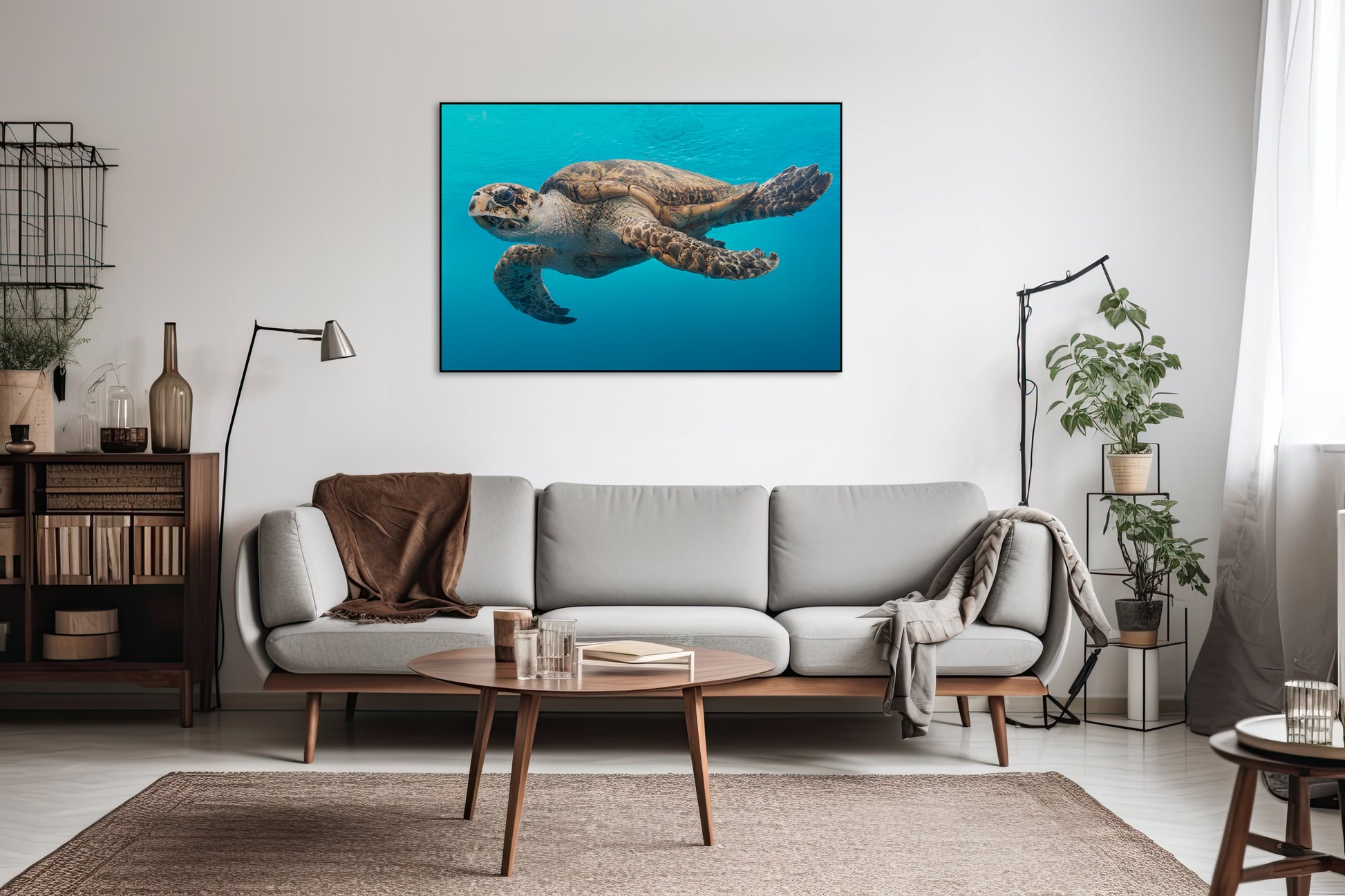 Schildpad in het water - AkoestischeMuur