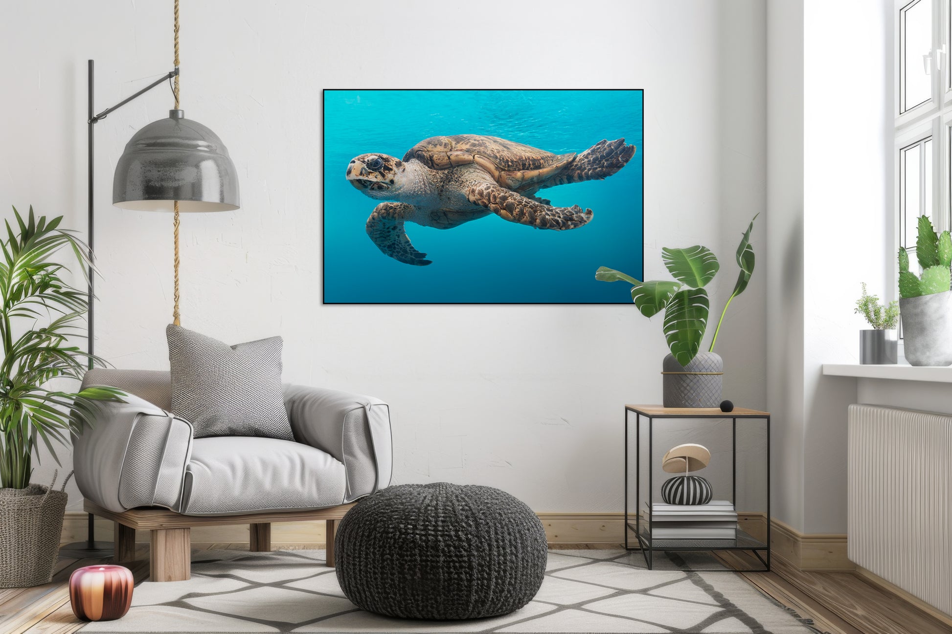 Schildpad in het water - AkoestischeMuur
