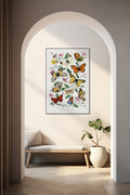 Vlinders en motten tekening - Paul Gervais - AkoestischeMuur