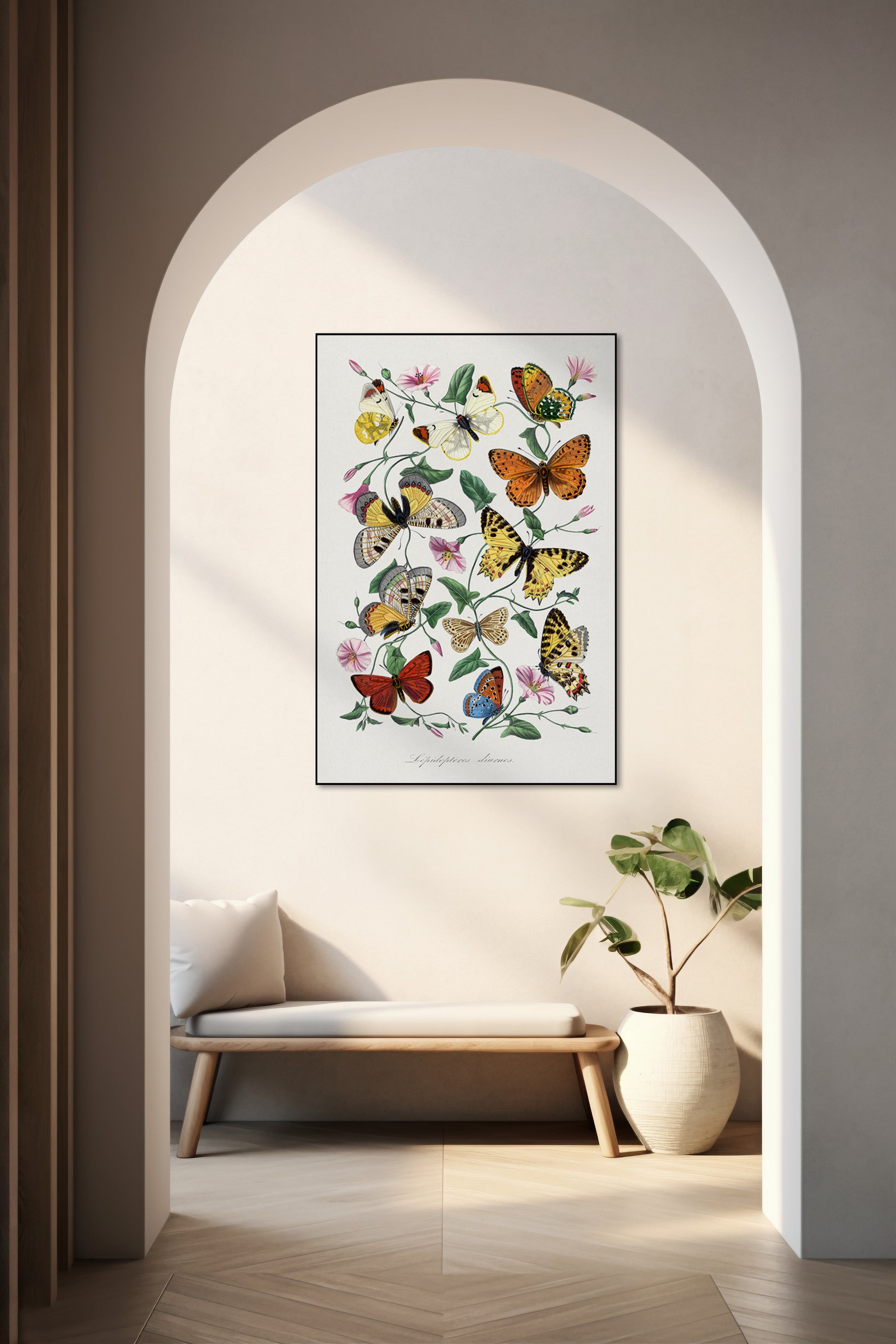 Vlinders en motten tekening - Paul Gervais - AkoestischeMuur
