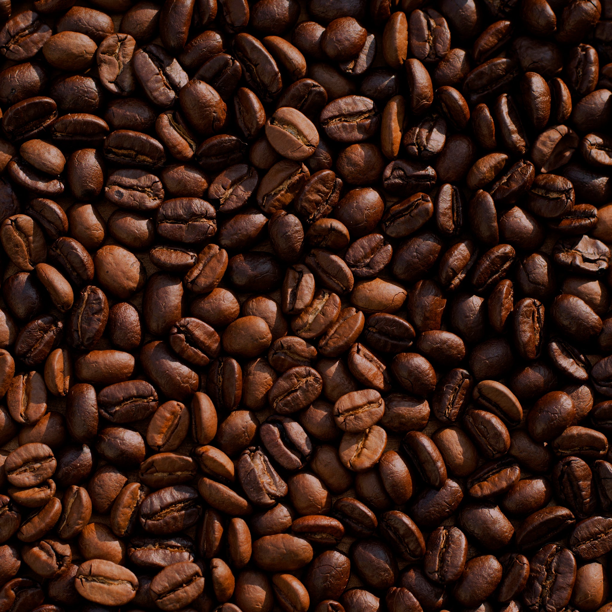 Koffiebonen close-up - AkoestischeMuur