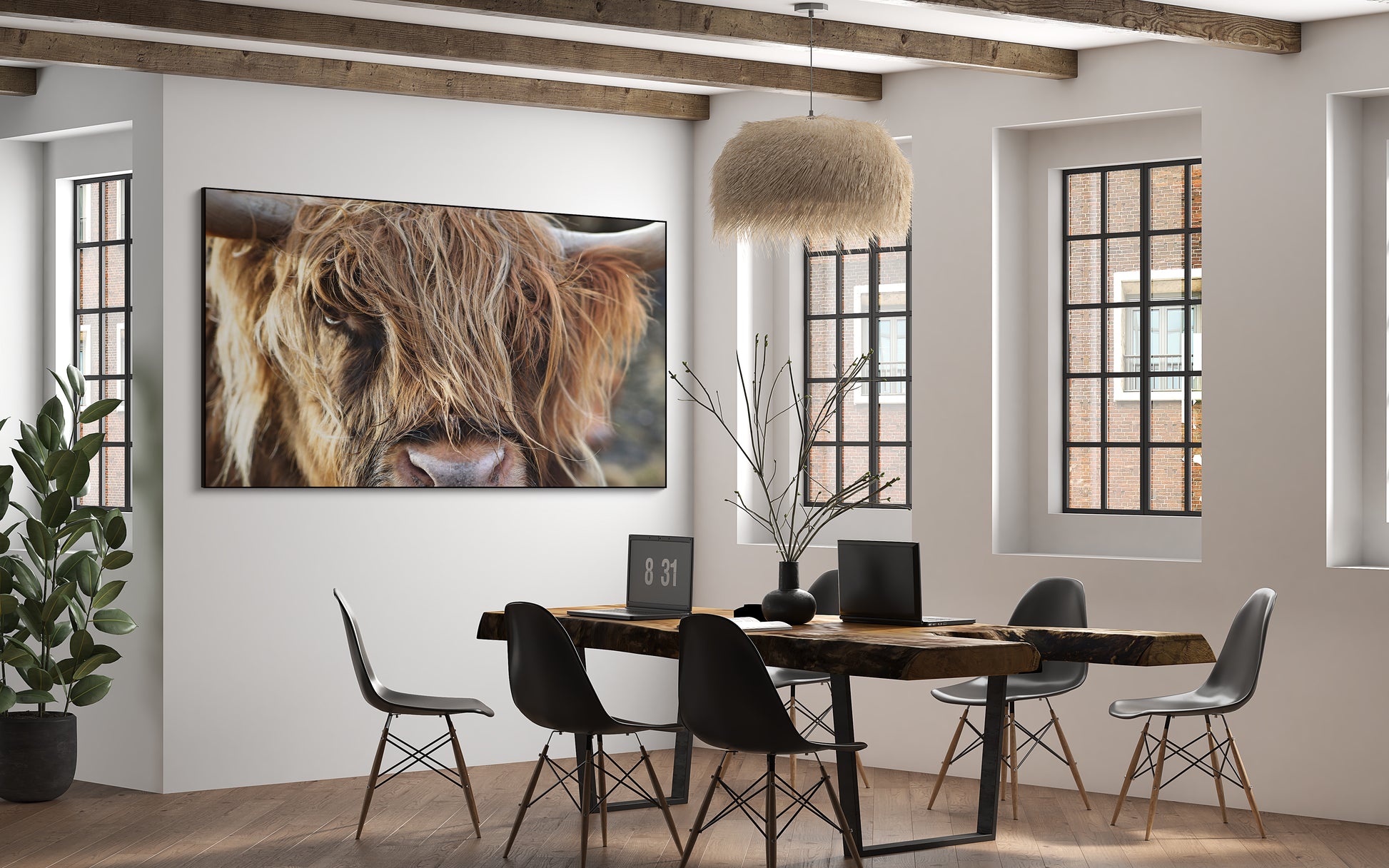 Oog in oog met een Schotse hooglander - AkoestischeMuur