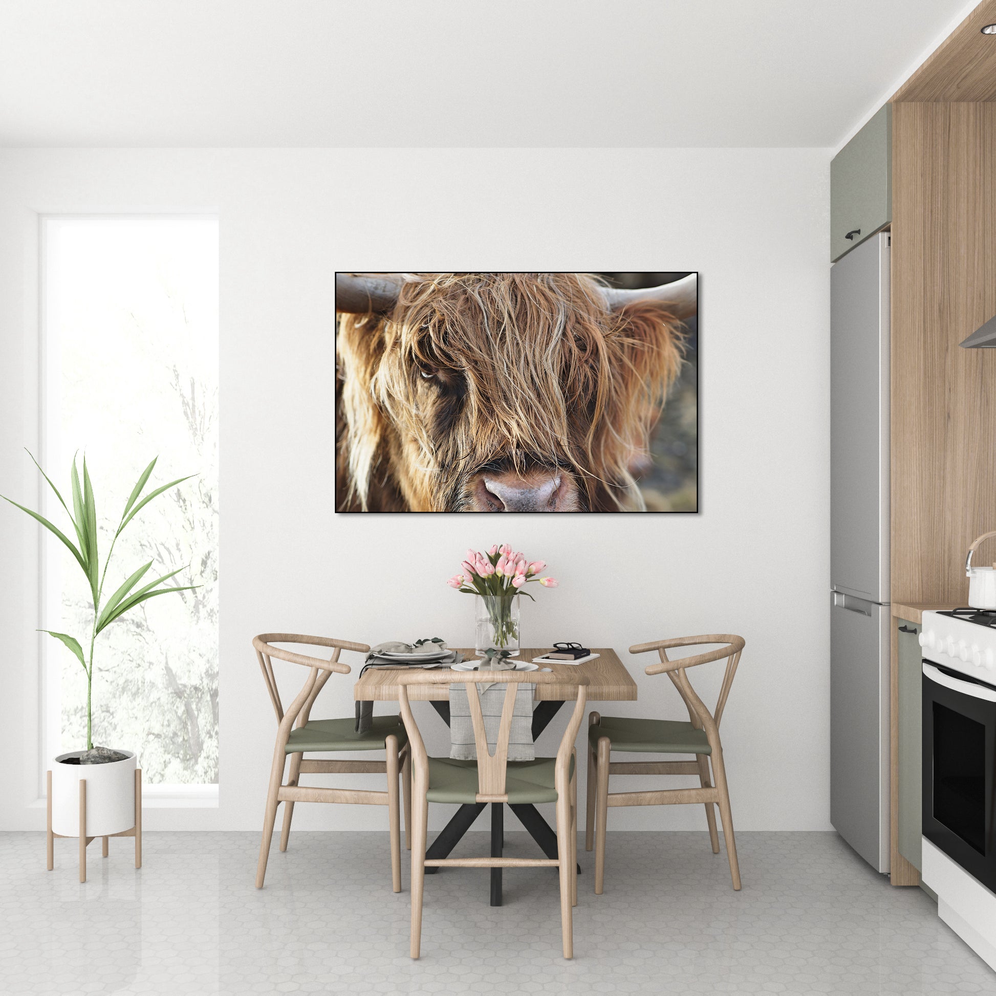 Oog in oog met een Schotse hooglander - AkoestischeMuur
