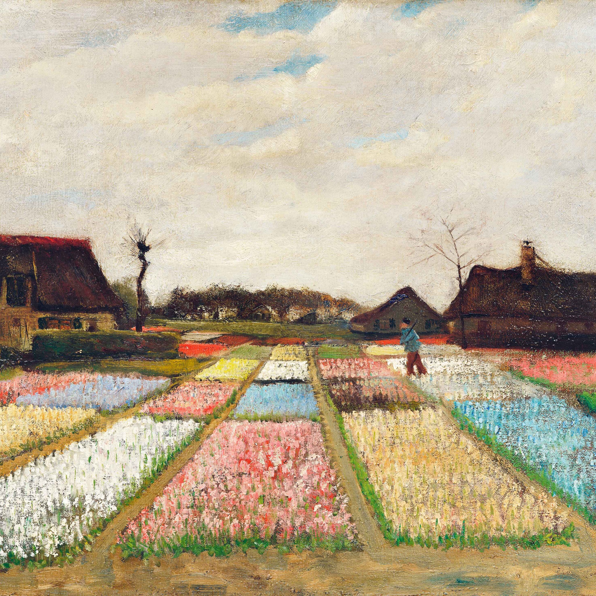 Bloemenvelden in Nederland - Vincent van Gogh - AkoestischeMuur