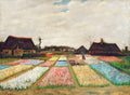 Bloemenvelden in Nederland - Vincent van Gogh - AkoestischeMuur