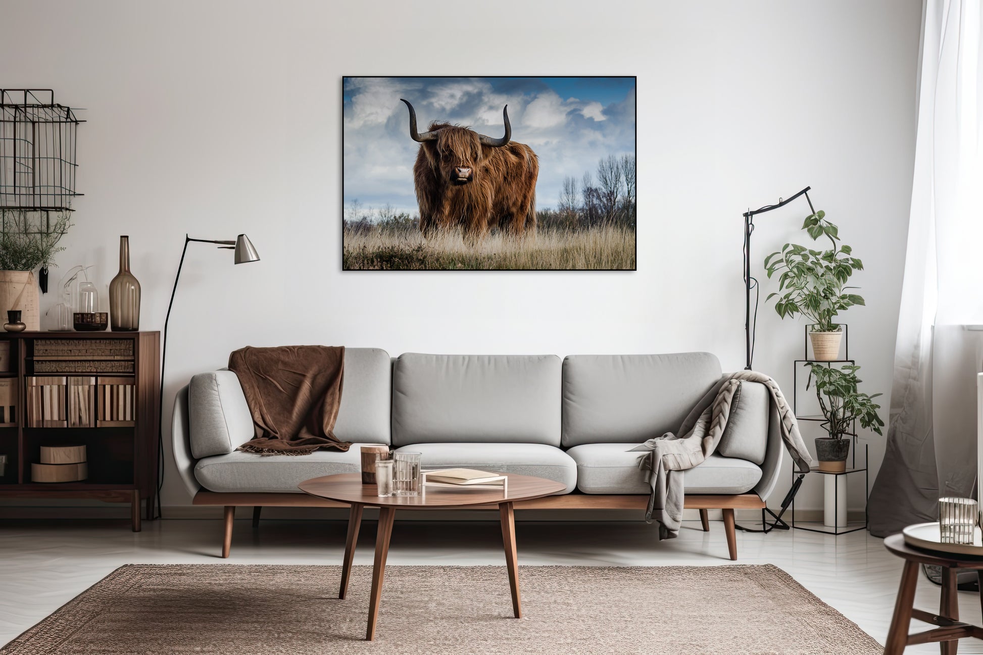 Schotse hooglander in de natuur - AkoestischeMuur